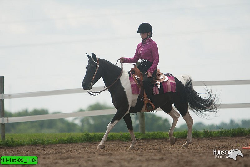 4H-1st-09_1184.jpg