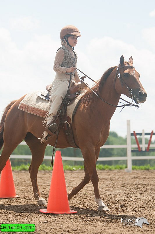 4H-1st-09_1201.jpg