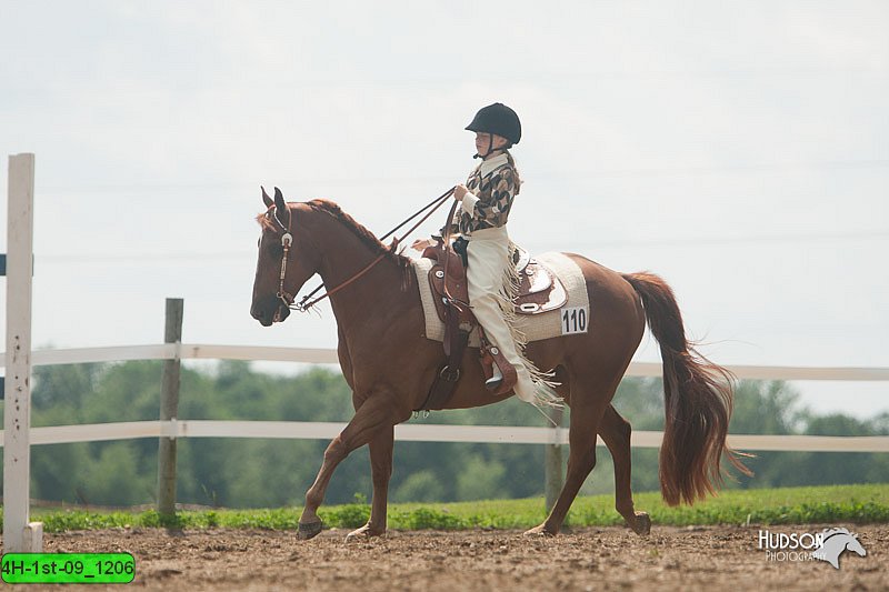 4H-1st-09_1206.jpg