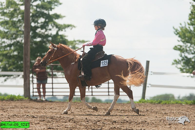 4H-1st-09_1247.jpg