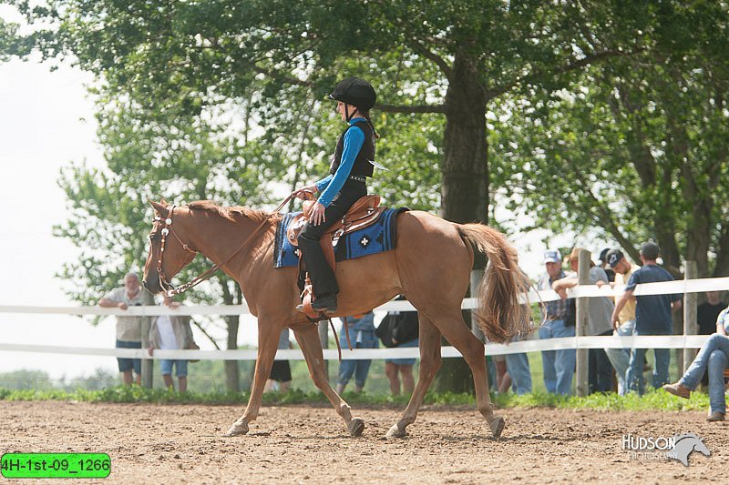 4H-1st-09_1266.jpg