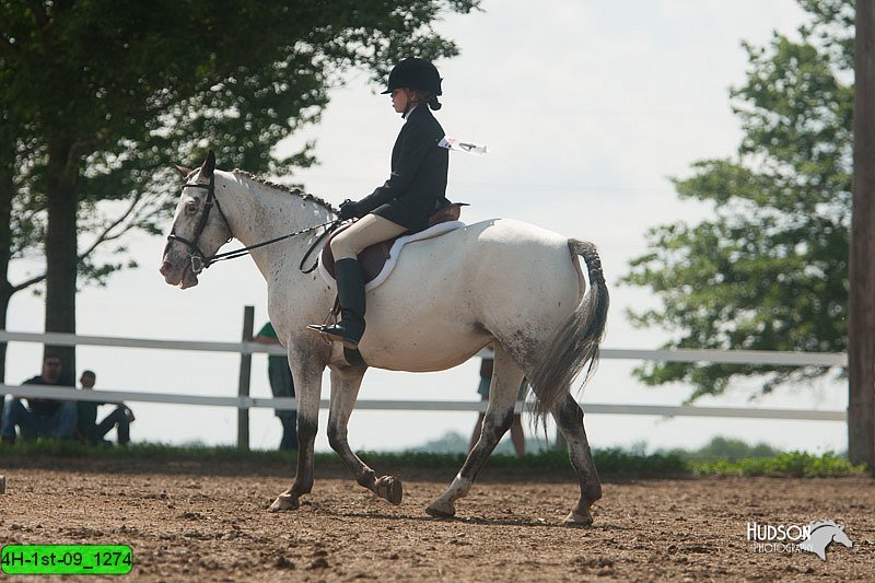 4H-1st-09_1274.jpg