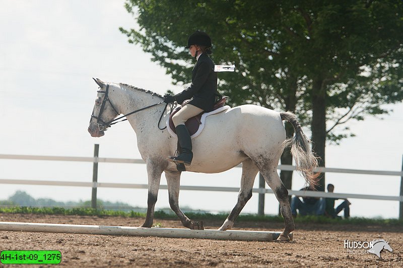 4H-1st-09_1275.jpg