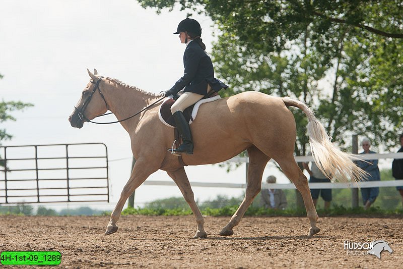 4H-1st-09_1289.jpg