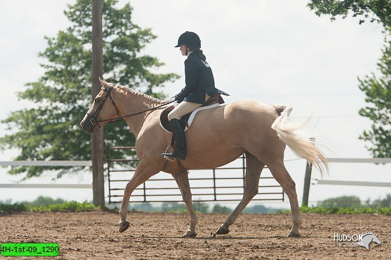 4H-1st-09_1290.jpg