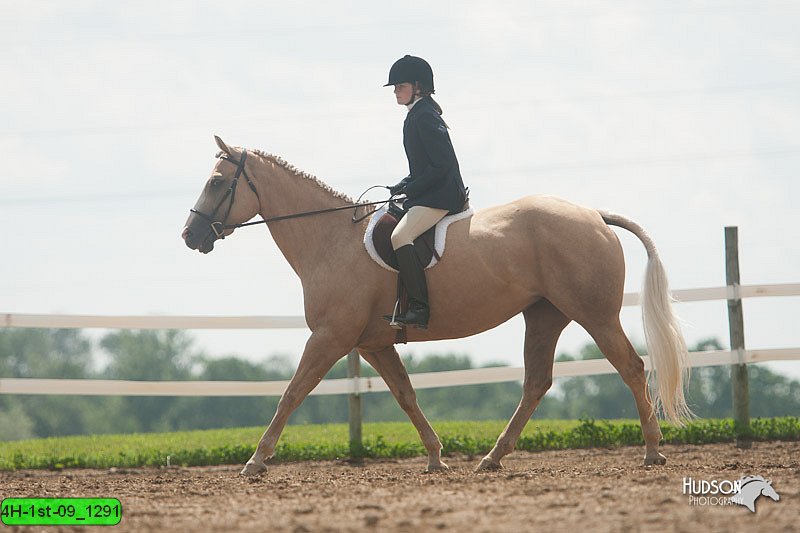 4H-1st-09_1291.jpg