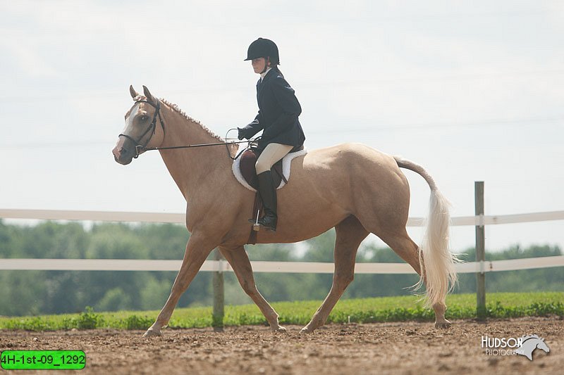 4H-1st-09_1292.jpg