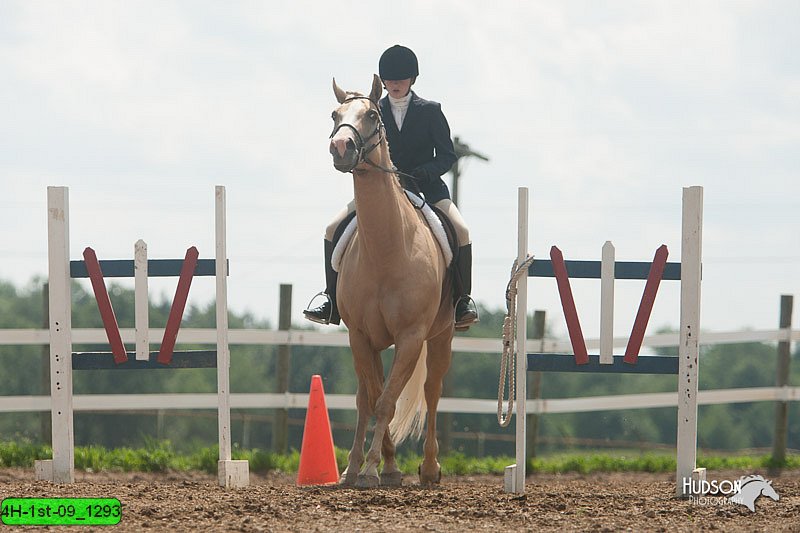 4H-1st-09_1293.jpg