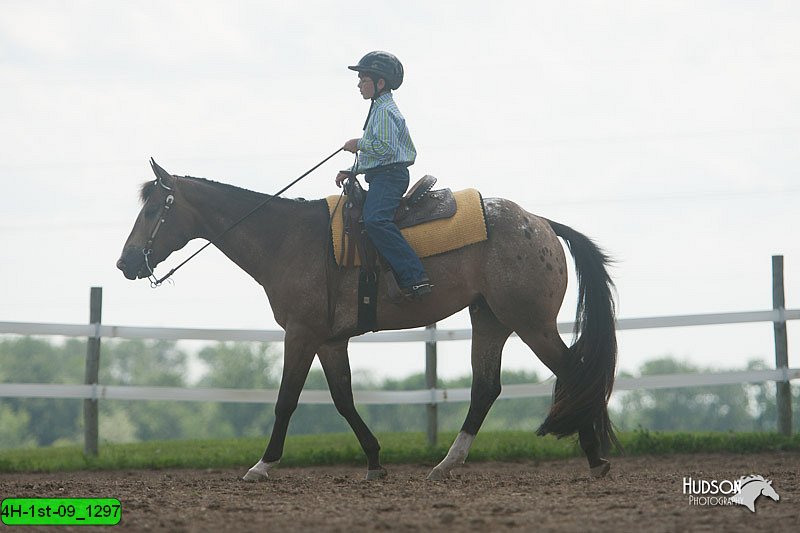 4H-1st-09_1297.jpg