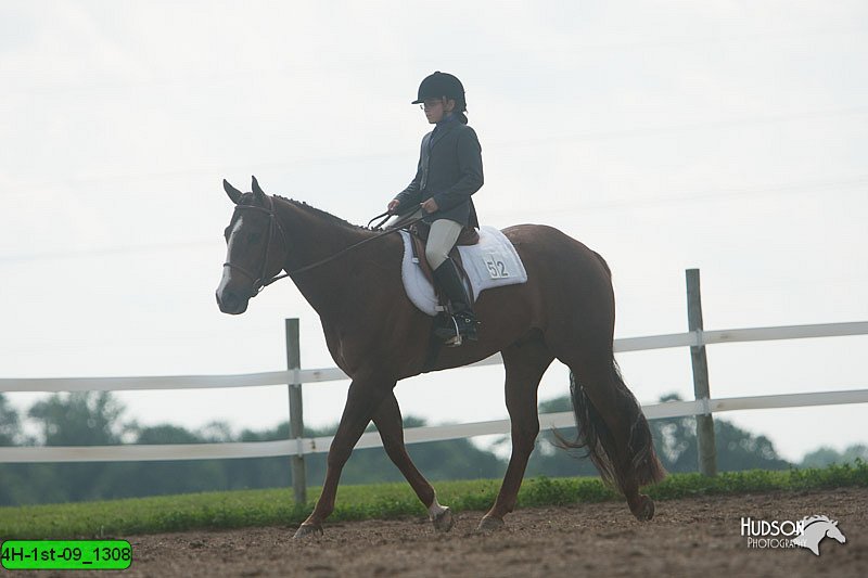 4H-1st-09_1308.jpg