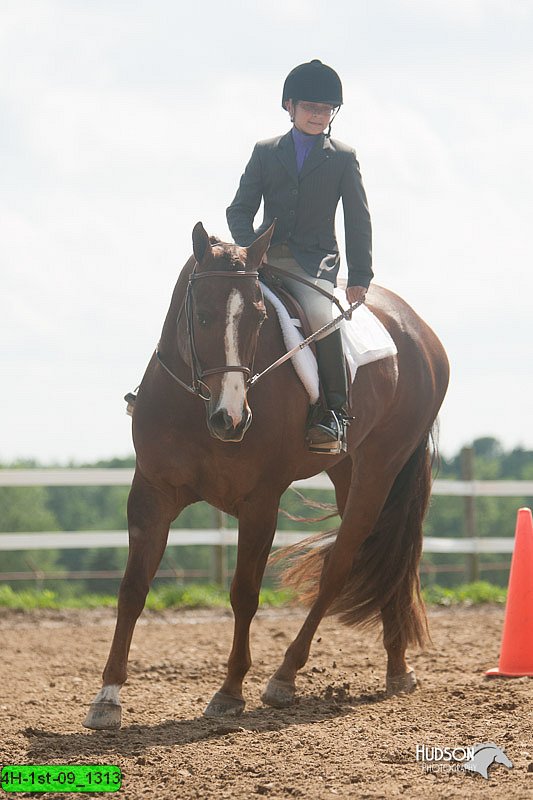 4H-1st-09_1313.jpg