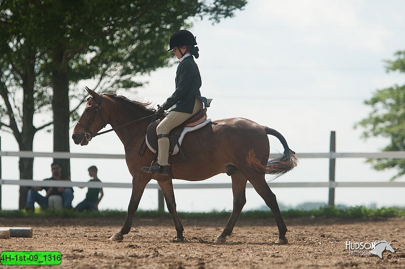 4H-1st-09_1316.jpg