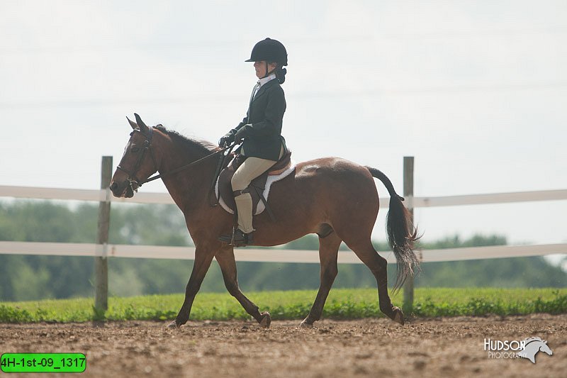 4H-1st-09_1317.jpg