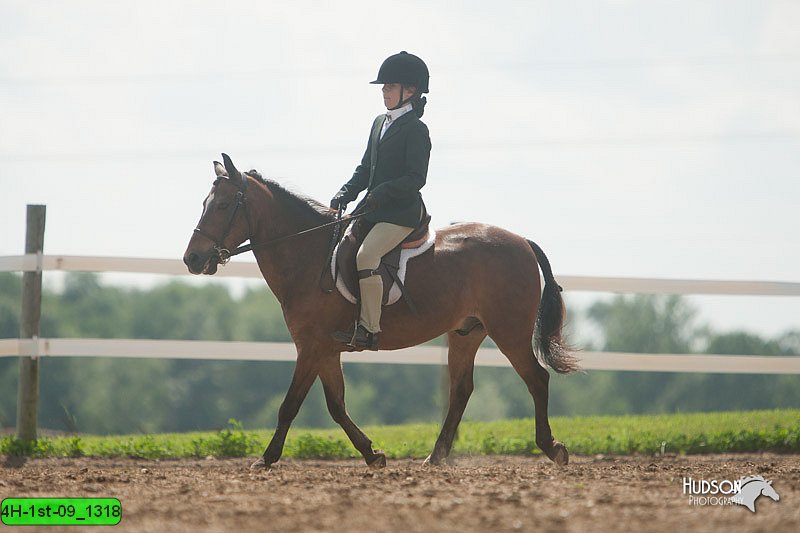 4H-1st-09_1318.jpg
