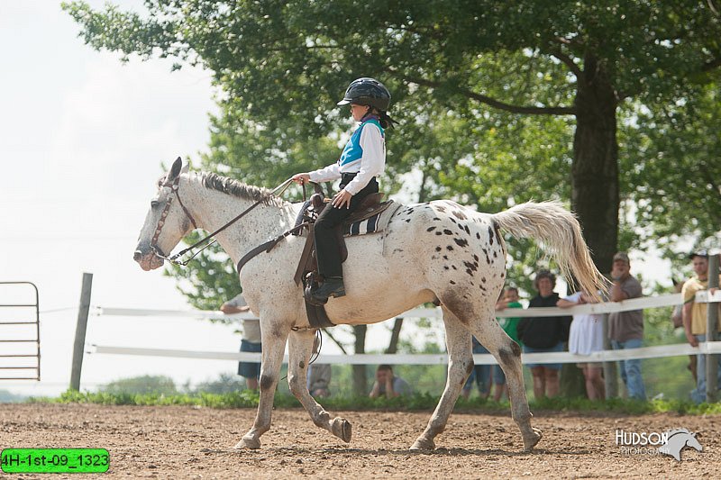 4H-1st-09_1323.jpg