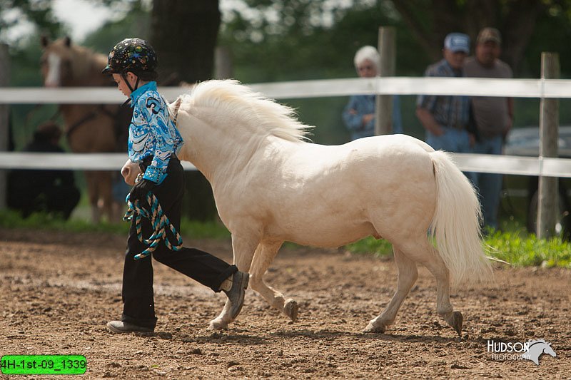 4H-1st-09_1339.jpg