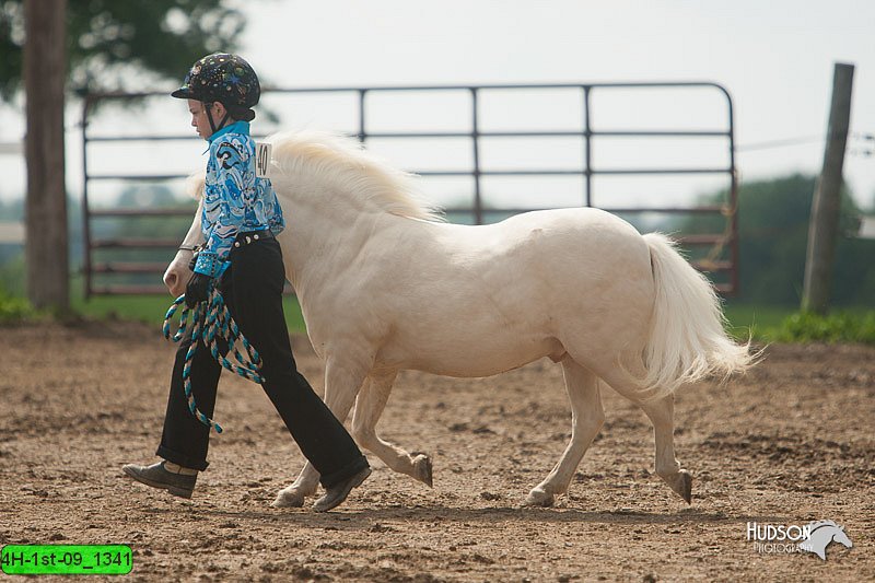 4H-1st-09_1341.jpg