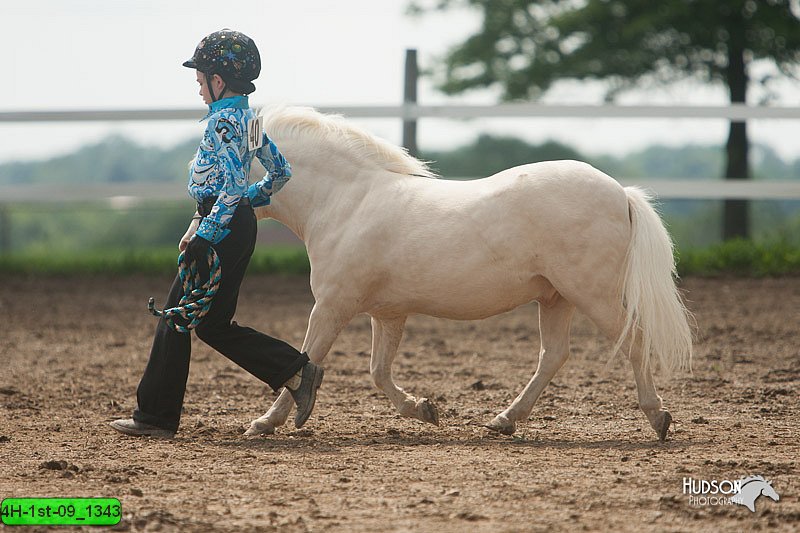 4H-1st-09_1343.jpg