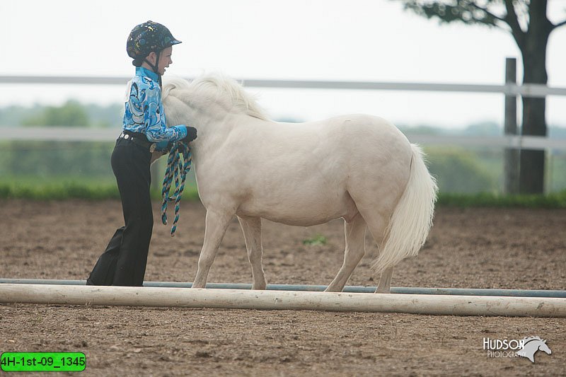 4H-1st-09_1345.jpg