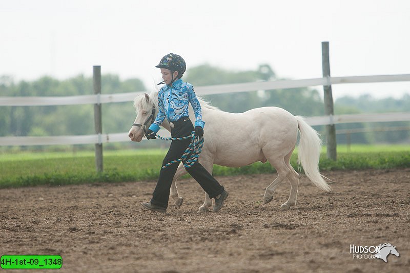 4H-1st-09_1348.jpg