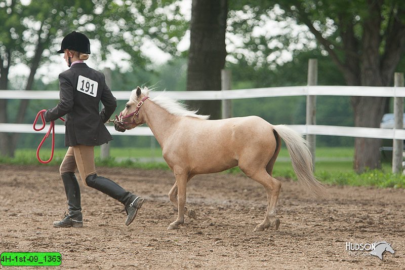 4H-1st-09_1363.jpg