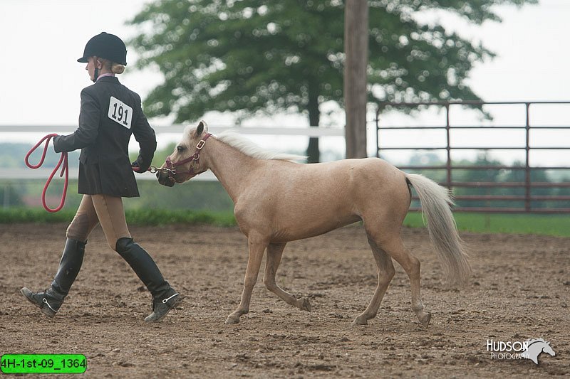4H-1st-09_1364.jpg