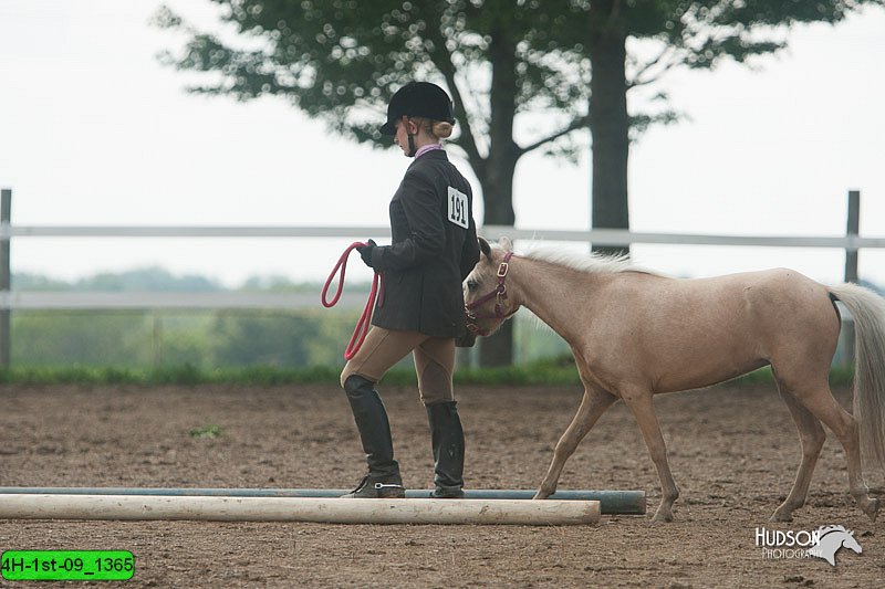 4H-1st-09_1365.jpg