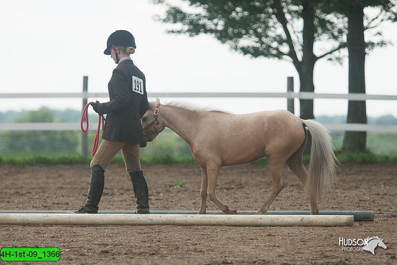 4H-1st-09_1366.jpg