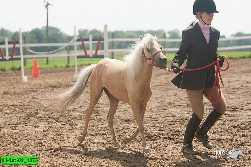 4H-1st-09_1373.jpg