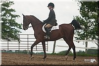 4H-1st-09_1116.jpg