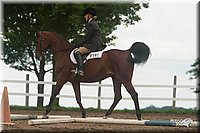 4H-1st-09_1117.jpg
