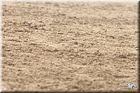 4H-1st-09_1143.jpg