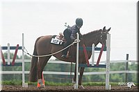 4H-1st-09_1172.jpg