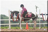 4H-1st-09_1186.jpg