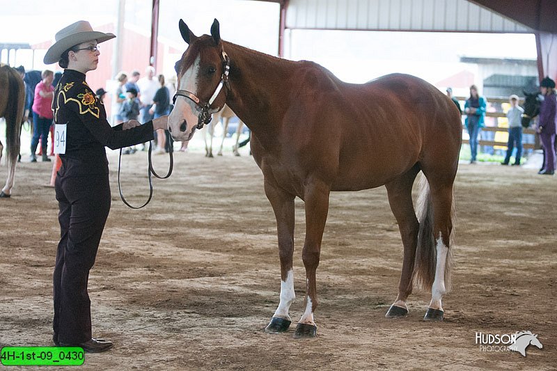 4H-1st-09_0430.jpg