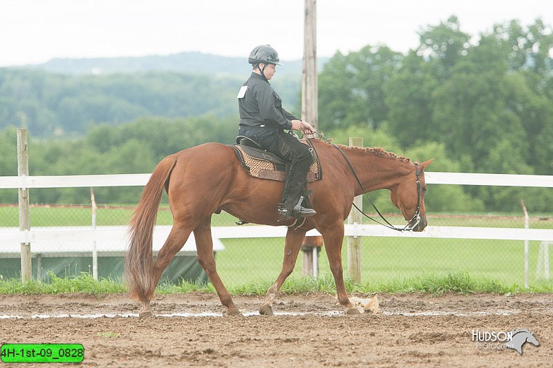 4H-1st-09_0828.jpg