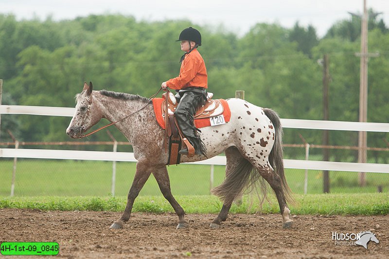 4H-1st-09_0845.jpg