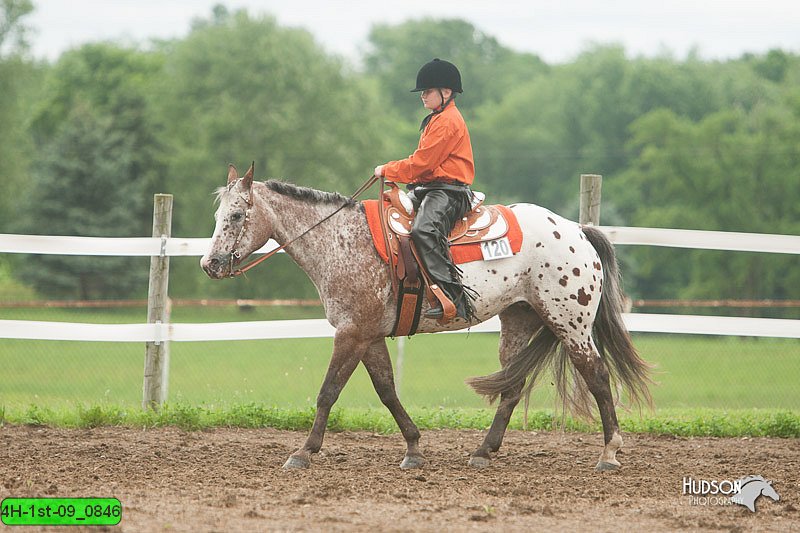 4H-1st-09_0846.jpg