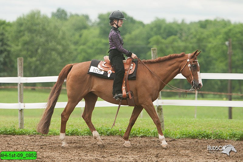 4H-1st-09_0852.jpg