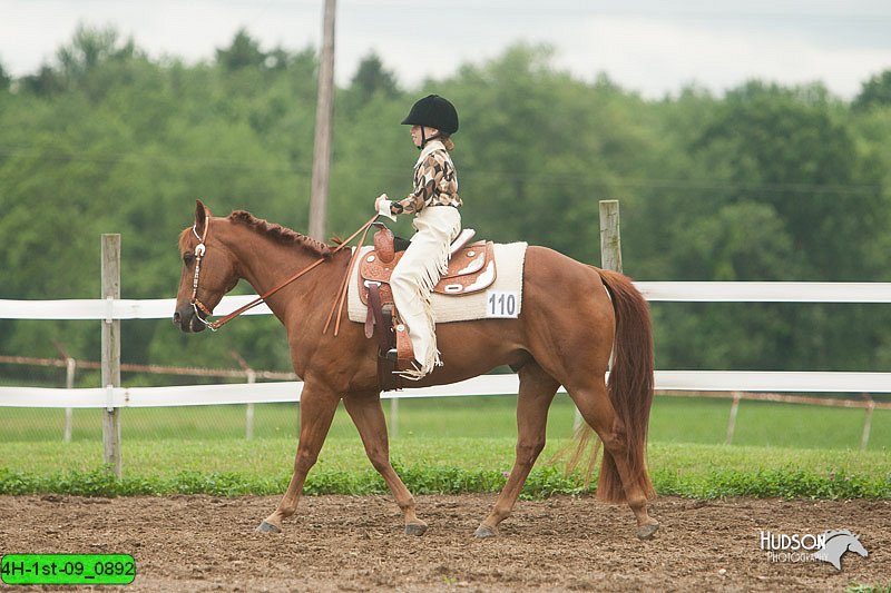 4H-1st-09_0892.jpg