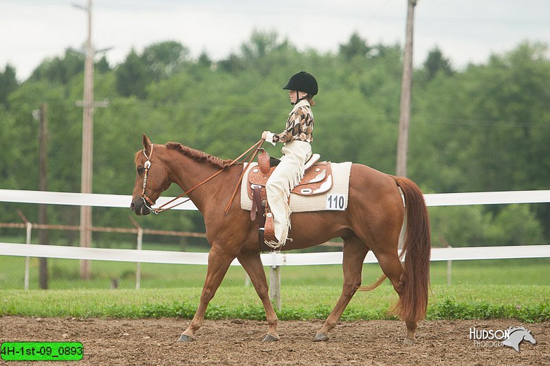 4H-1st-09_0893.jpg