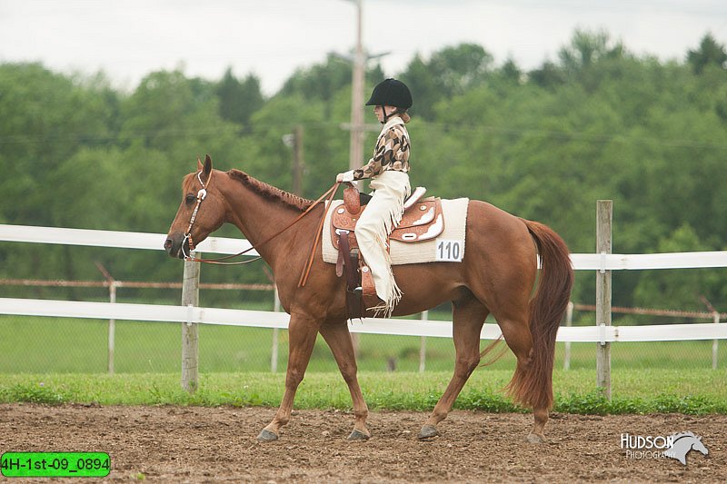 4H-1st-09_0894.jpg