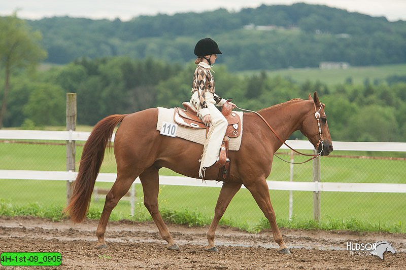 4H-1st-09_0905.jpg