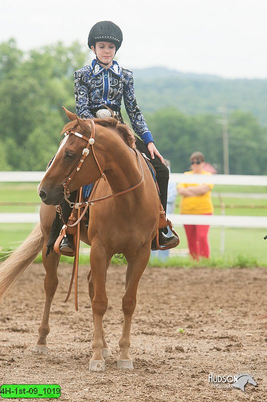 4H-1st-09_1019.jpg