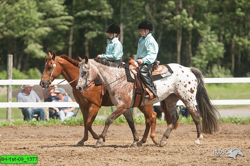 4H-1st-09_1377.jpg