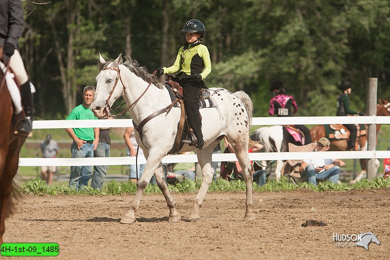 4H-1st-09_1485.jpg