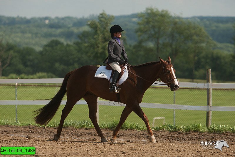 4H-1st-09_1488.jpg