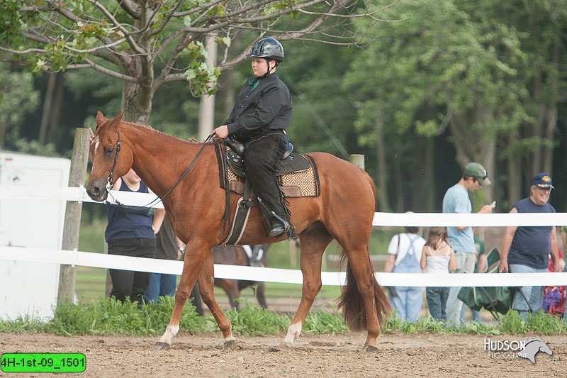 4H-1st-09_1501.jpg