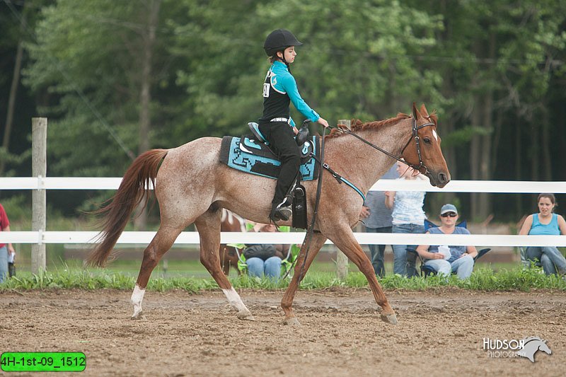 4H-1st-09_1512.jpg