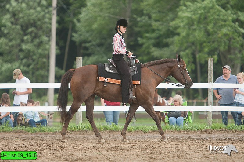 4H-1st-09_1515.jpg